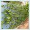 Agricultural Ecological Garden use nontoxic seeding planting sponge
