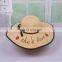 Ladybug Letters Embroidery Straw Hat Large Eaves Sunscreen Beach Hat