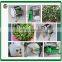 Restaurant automatic chili cutting machine shallot cutting machine