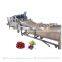 Automatic Fruit Peach Olive Washer Chili Vegetable Washing Machine
