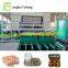 biodegradable paper forming seeds tray machinery/pulp molding seeds cup making machine