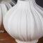 Wholesale Fashion Large White Round Garlic Simple Ceramic Flower Vase For Living Room