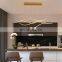 Nordic creative simple personality long lines pendant light for decorate