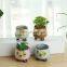 Succulent flowerpot green plant flower pot hand-painted creative ceramic mini potted micro-landscape