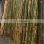 High Quality and Good Price Real Bamboo using for chair table decor furniture from Viet Nam distributor