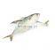 frozen indian mackerel fish Rastrelliger kanagurta