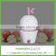 samll apple aroma cool mist altrasonic facial humidifier ultrasonic