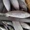Sea frozen Horse Mackerel 25cm up