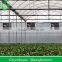 High Quality Strong Greenhouse Structure