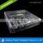 Dongguan Supply Transparent Plastic Cosmetic Packaging Tray