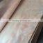 rotary cut 0.5mm okoume wood face veneer