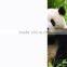 removable wood protective palstic film