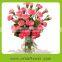 Reasonable price best selling fresh cut flower of pink carnation flower