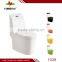 Chaozhou sanitary ware ceramic washdown color one piece toilet