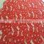 french cotton nylon cord lace fabric shipping from china