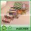 Bright Colorful Wedding Favor Box