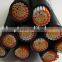 Low voltage XLPE electrical power cable 1.5/2.5/4/6/10mm2