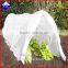 Anti-UV Spunbonded PP Nonwoven Fabric for Vegetable Cover, Landscape