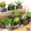 Wholesale top grade Succulent Artificial Small Potted Plant