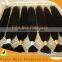 No Tangle No Shed 100% Virgin Brazilian Hair Bulk for New Style