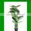 Artificial Taro/Dieffenbachia/small trees used for home or office decoration