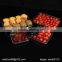 square transparent disposable plastic fruit tray
