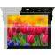 17" Android Bus LCD Advertising Display
