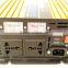 Golden series 1000W inverter 12V to 220V with double fans