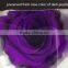 export long-lasting dried flowers highest quality preserved flowers rose