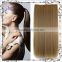 Elegant Long Straight Clip in Hair Extension for Women