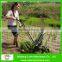 Manual Rice Planter Machine