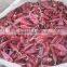 red chili