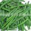 BRC,KOSHER,HALAL frozen stringless green bean