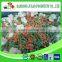 Fresh Frozen 4 way bulk mix vegetables