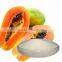 GMP Manufacturer Supply Papaya Extract Powder