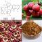 GMP Factory Supply Hawthorn Fruit/Leaf Extract