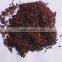 Antirrhinum majus flower seeds