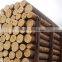 Wood round logs /Timber Log / Sawlogs / RUSSIAN ORIGIN