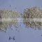 Expanded Perlite As Growing Medium For Vertical Garden Systems and Garden