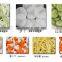 2500-3500kg/h High effeciency multifunction vegetable cutter machine