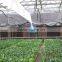 China factory plastic polyethylene film arch green house