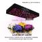 1200W Grow Light Kit for Red Blue White Indoor Plants
