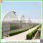Hot Sale Commercial Arched Type Greenhouse for Roses