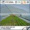 greenhouses agriculture projects structural tubes 2015 china factory wholesale good quality precision steel pipe for greenhouse