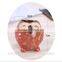 Succulent color owl ceramic mini indoor plants pots