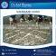 Organic and Pure Frozen Shrimp Vannamei/ Sea Food for Bulk Supply
