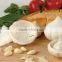 Food grade material plastic vegetable garlic keeper
