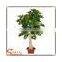 Factory hot sale green artificial money tree make cheap outdoor large money tree