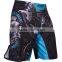 High Quality MMA Boxing Short With Your Own Design