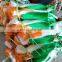 HDPE material plant support netting mesh 18*18cm green white color